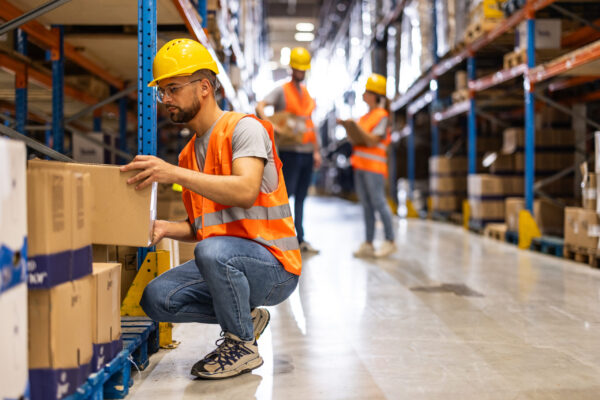 Warehouse Worker Male Control de stock, máximos y mínimos de inventario.
